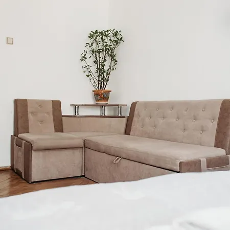 для великої компанї в центрі міста Lviv