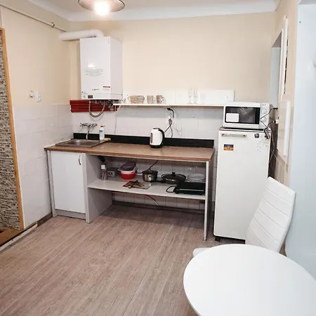 для великої компанї в центрі міста * Lviv