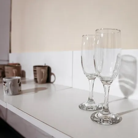 Apartment для великої компанї в центрі міста