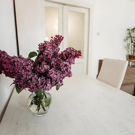 для великої компанї в центрі міста Apartmán *