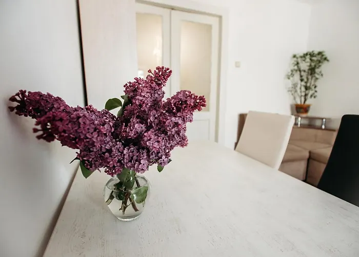 для великої компанї в центрі міста Apartmán *