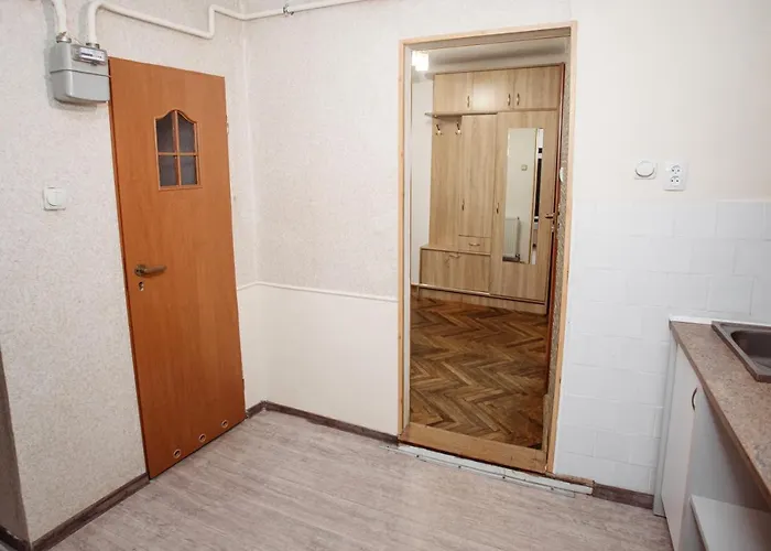 Apartmán для великої компанї в центрі міста *